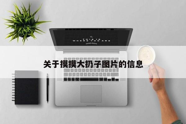 关于摸摸大扔子图片的信息